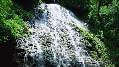 信息化节能高效